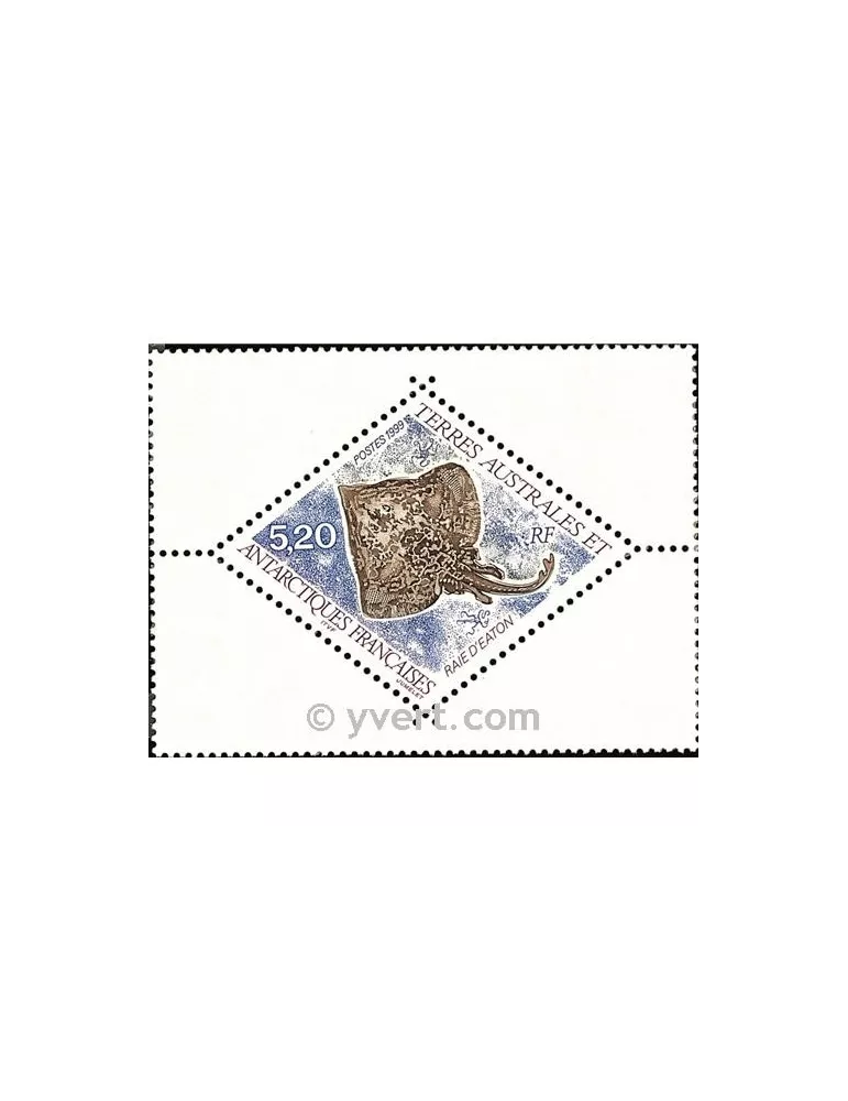n° 240 -  Timbre TAAF Poste