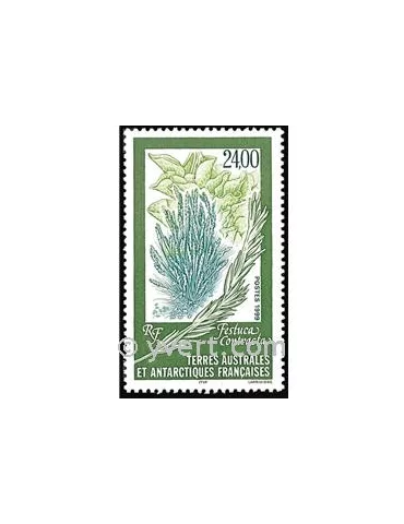 n° 244 -  Timbre TAAF Poste