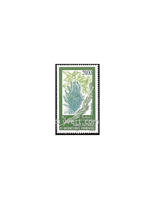 n° 244 -  Timbre TAAF Poste
