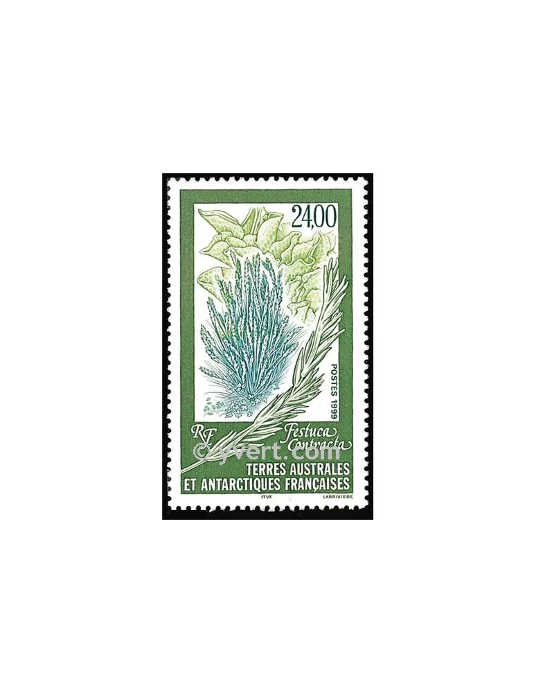 n° 244 -  Timbre TAAF Poste