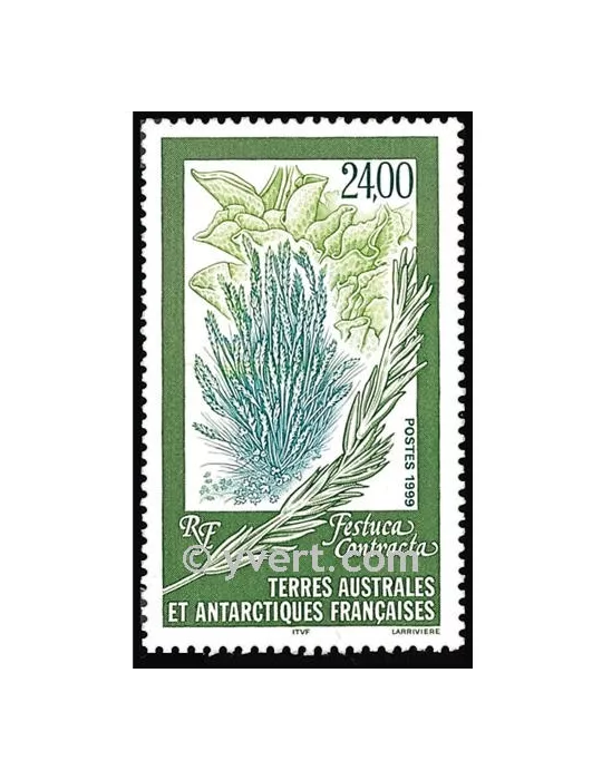 n° 244 -  Timbre TAAF Poste