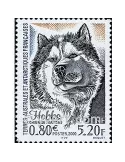 n° 265 -  Timbre TAAF Poste