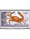 n° 335 -  Timbre TAAF Poste
