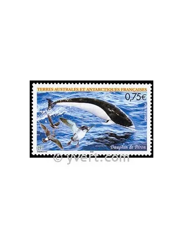 n° 385 -  Timbre TAAF Poste
