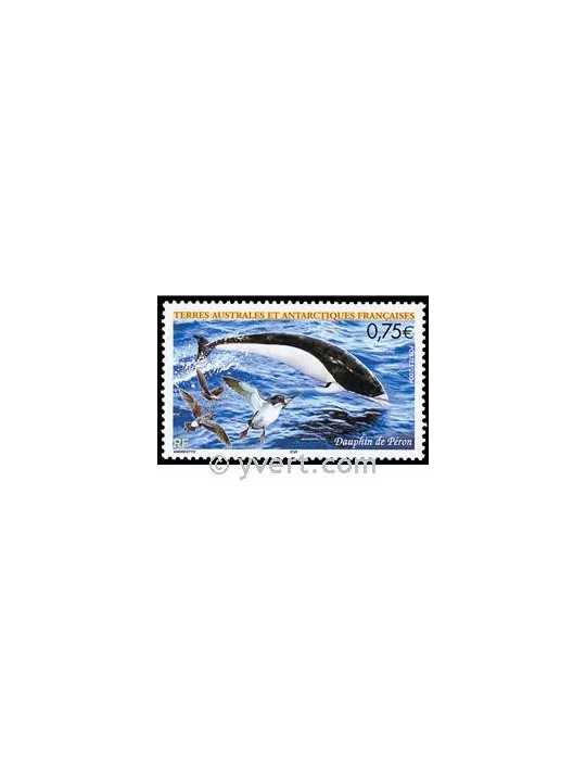 n° 385 -  Timbre TAAF Poste