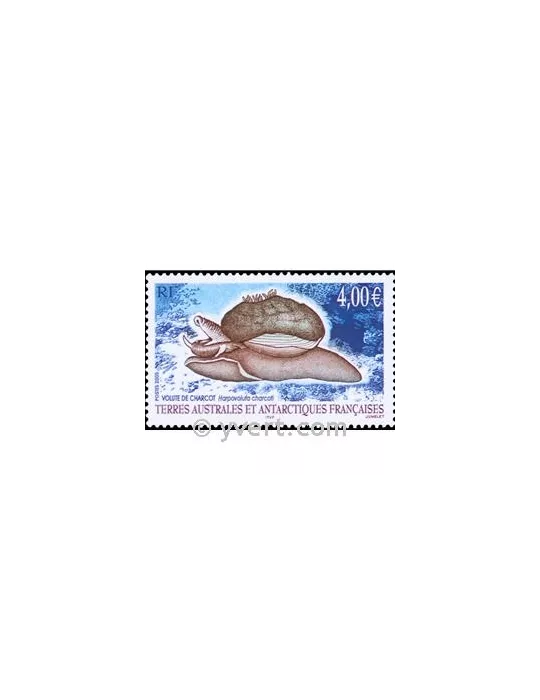 n° 411 -  Timbre TAAF Poste
