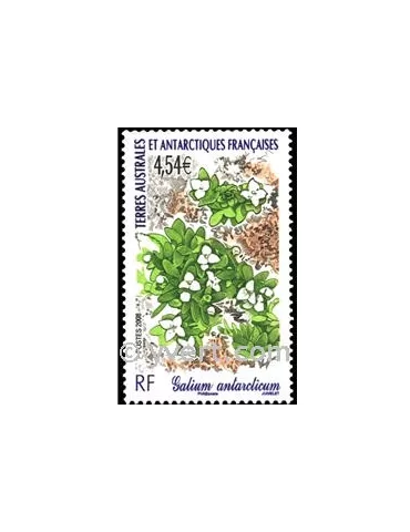 n° 500 -  Timbre TAAF Poste