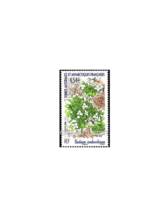 n° 500 -  Timbre TAAF Poste