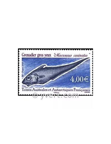 n° 505 -  Timbre TAAF Poste