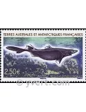n° 525 -  Timbre TAAF Poste