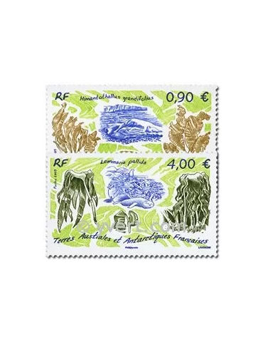 n° 528/529 -  Timbre TAAF Poste