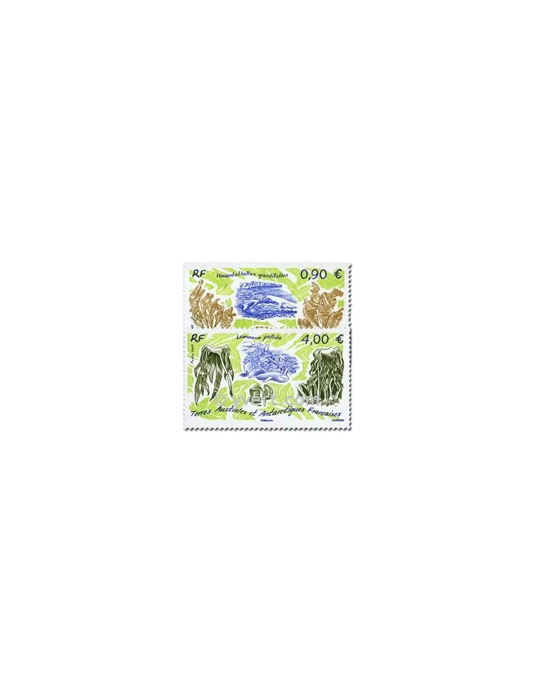 n° 528/529 -  Timbre TAAF Poste