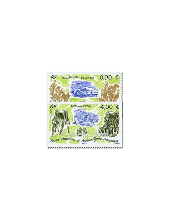 n° 528/529 -  Timbre TAAF Poste