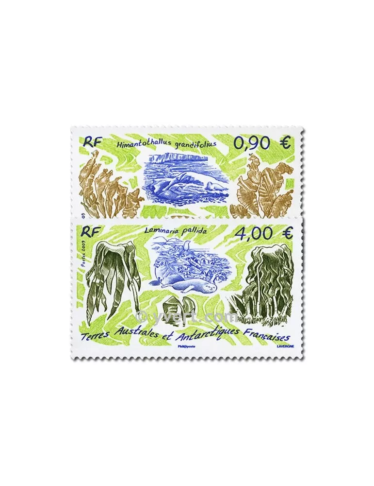 n° 528/529 -  Timbre TAAF Poste
