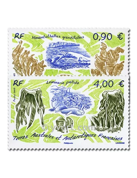 n° 528/529 -  Timbre TAAF Poste