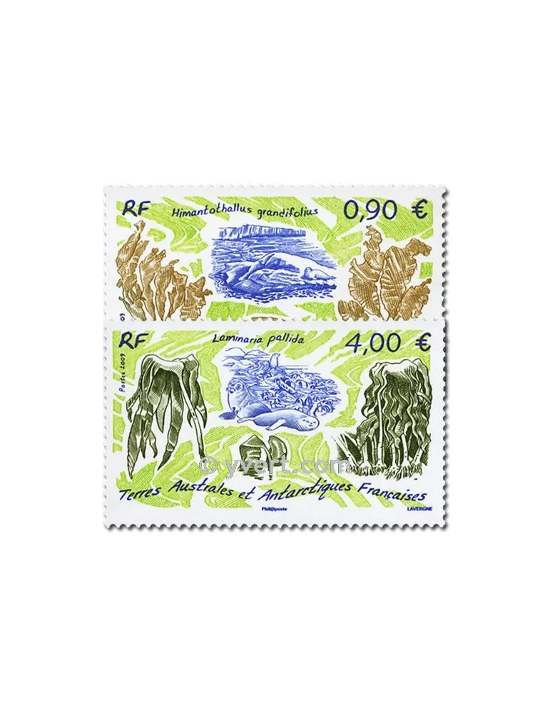 n° 528/529 -  Timbre TAAF Poste
