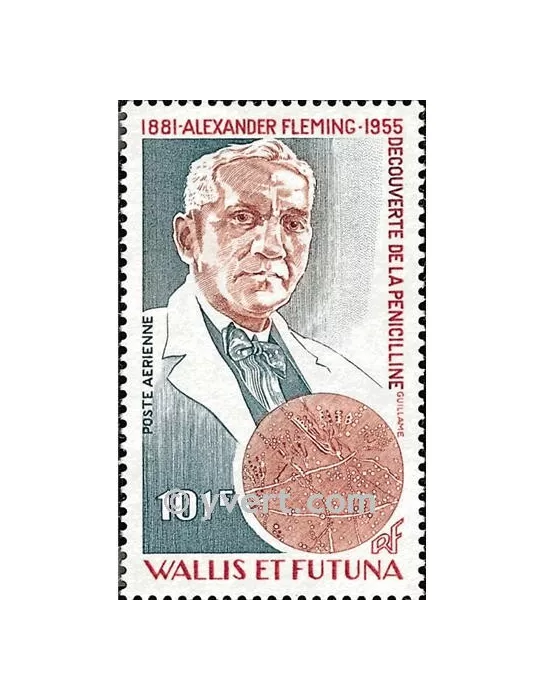 n° 105 -  Timbre Wallis et Futuna Poste aérienne