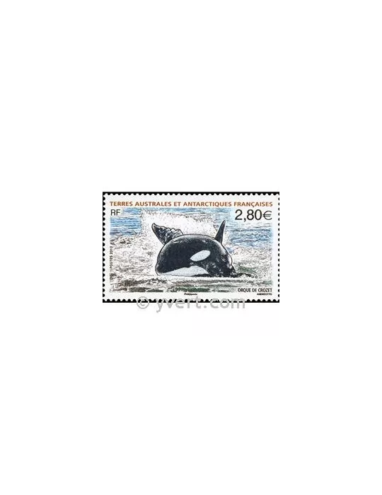 n° 552 -  Timbre TAAF Poste