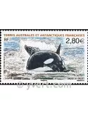 n° 552 -  Timbre TAAF Poste