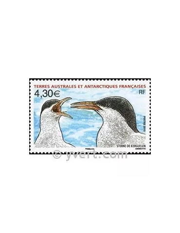 n° 553 -  Timbre TAAF Poste