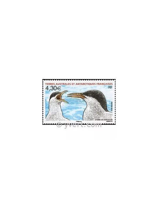 n° 553 -  Timbre TAAF Poste