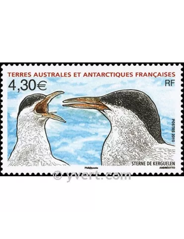 n° 553 -  Timbre TAAF Poste 2