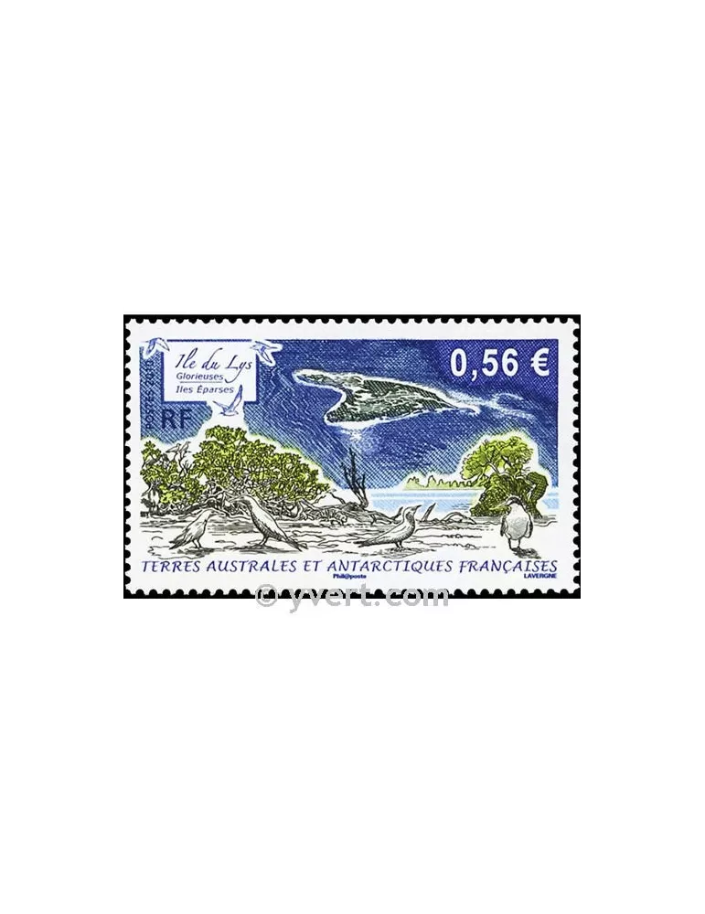 n° 554 -  Timbre TAAF Poste