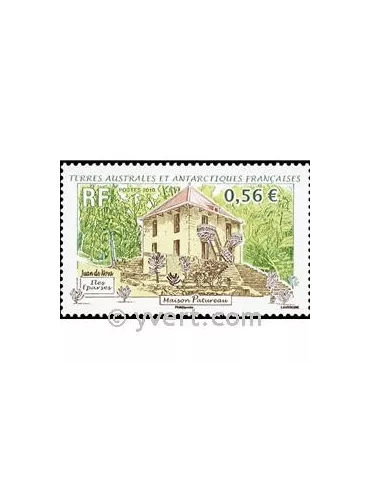 n° 555 -  Timbre TAAF Poste