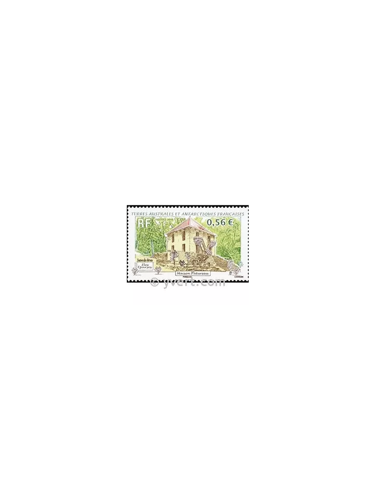 n° 555 -  Timbre TAAF Poste