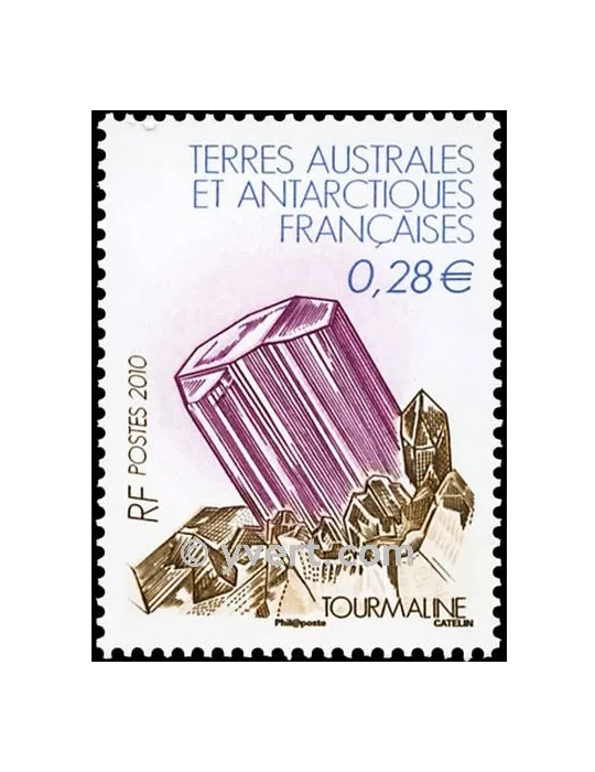 n° 556 -  Timbre TAAF Poste