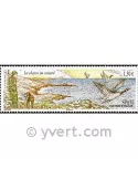 n° 957 -  Timbre Saint-Pierre et Miquelon Poste