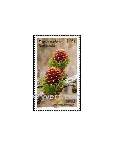 n° 994 -  Timbre Saint-Pierre et Miquelon Poste