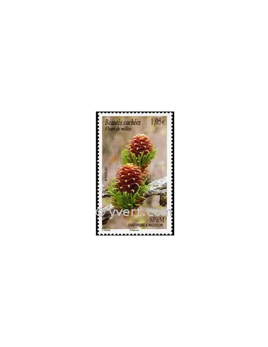 n° 994 -  Timbre Saint-Pierre et Miquelon Poste