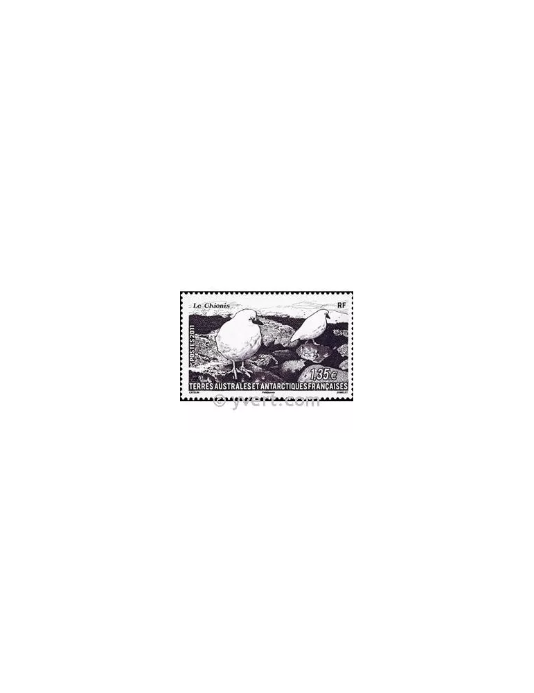 n° 582 -  Timbre TAAF Poste