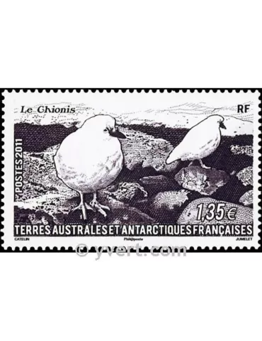 n° 582 -  Timbre TAAF Poste 2