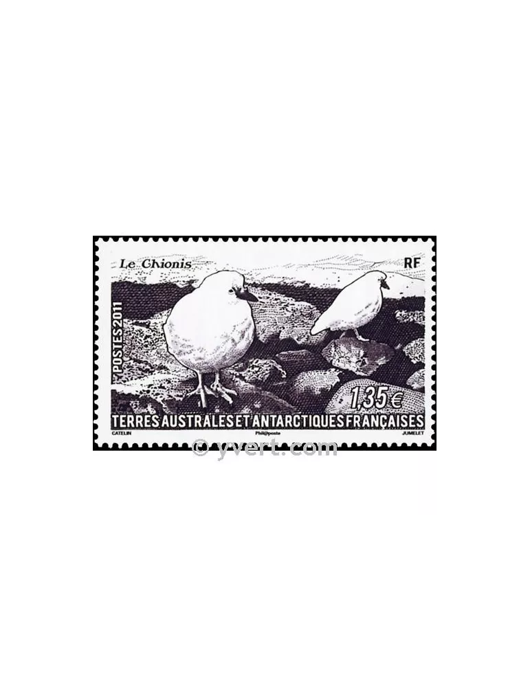 n° 582 -  Timbre TAAF Poste