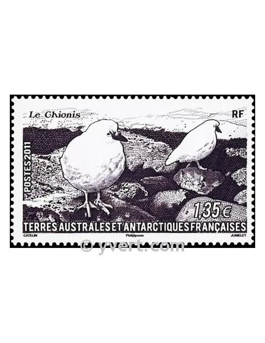 n° 582 -  Timbre TAAF Poste