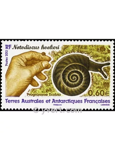 n° 605 -  Timbre TAAF Poste 2