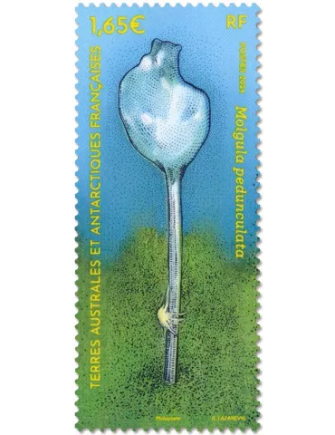 n° F1081 - Timbre TAAF Poste 2