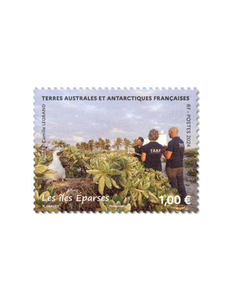 n° F1089 - Timbre TAAF Poste