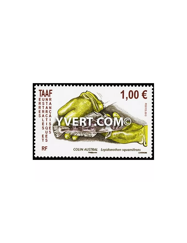 n° 641 -  Timbre TAAF Poste