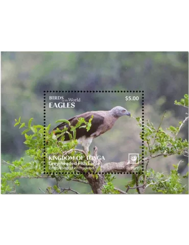n° 128/131 - Timbre TONGA Blocs et feuillets 2