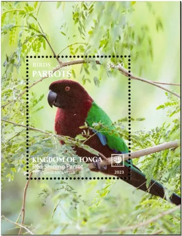 n° 132/135 - Timbre TONGA Blocs et feuillets 2