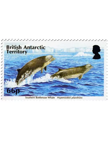 n° 660 - Timbre ANTARCTIQUE BRITANNIQUE Poste