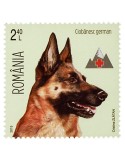 n° 5950 - Timbre ROUMANIE Poste