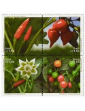 n° 3457 - Timbre BRESIL Poste
