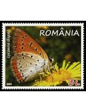 n° 6005 - Timbre ROUMANIE Poste