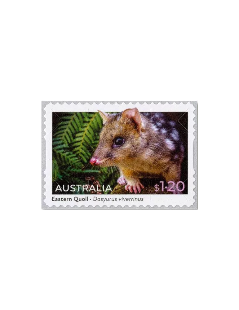 n° 5335a/5336a (la paire) - Timbre AUSTRALIE Poste