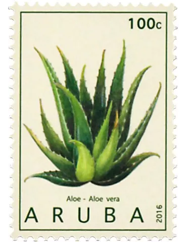 n° 909 - Timbre ARUBA Poste