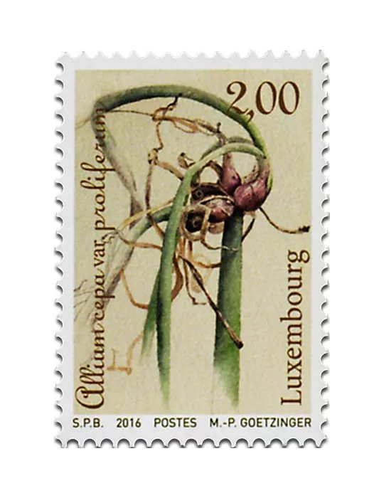 n° 2039 - Timbre LUXEMBOURG Poste